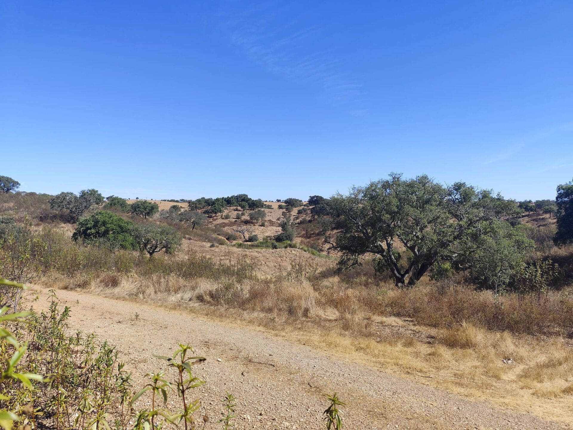 Terreno , Vale de cadeirinhas, Serpa