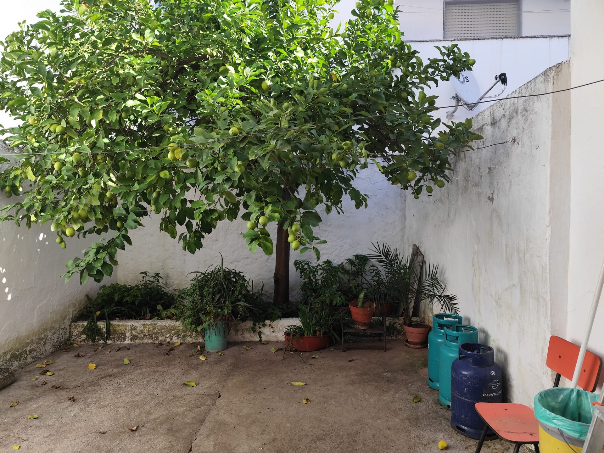 Encantadora Moradia T4 na Prestigiada Zona da Porta Nova em Moura - O Seu Refúgio Familiar com Quintal Privativo e Potencial de Expansão!
