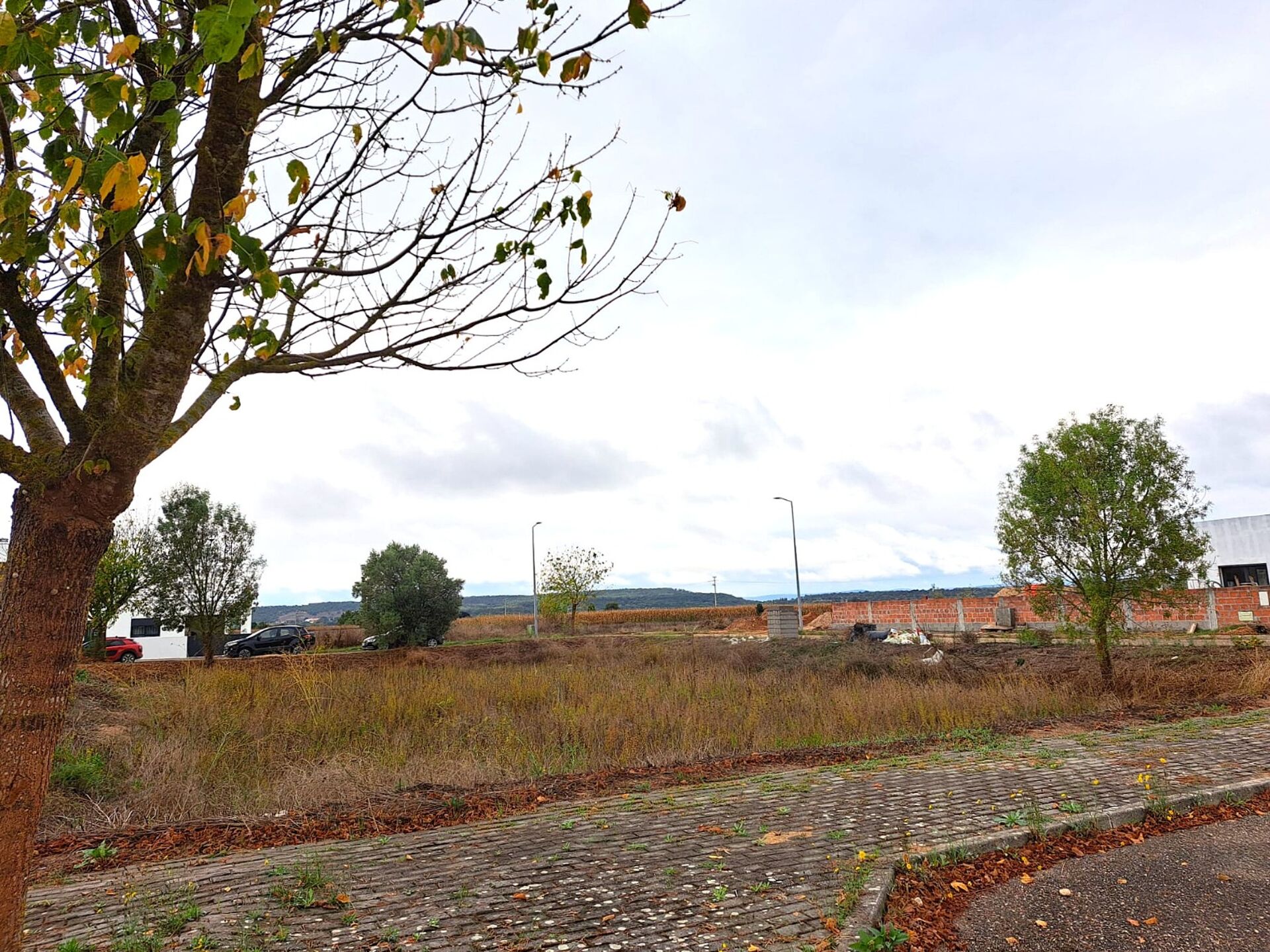 Lote Urbano - Moradia Isolada C/503 m2