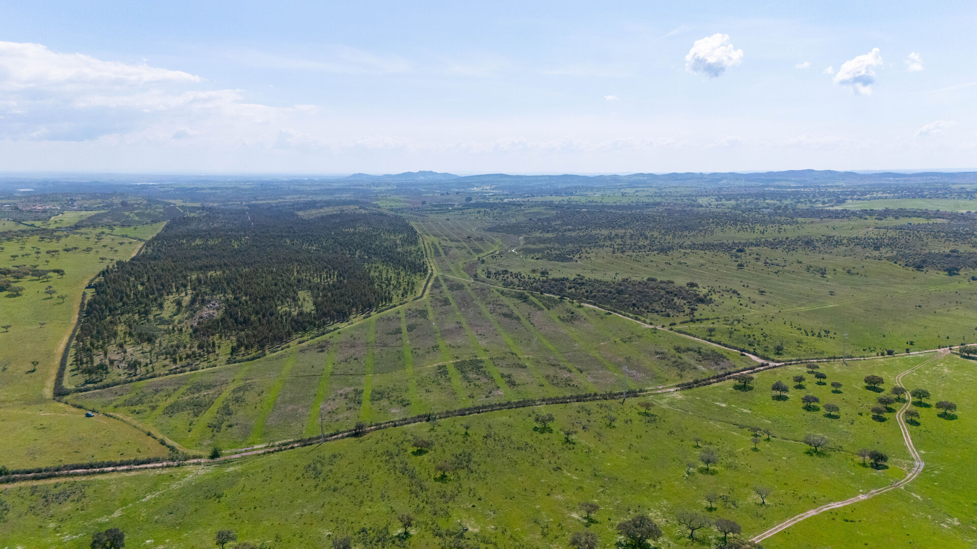 Herdade do Penedo Gordo – 15 Hectares de Elevado Potencial no Alentejo