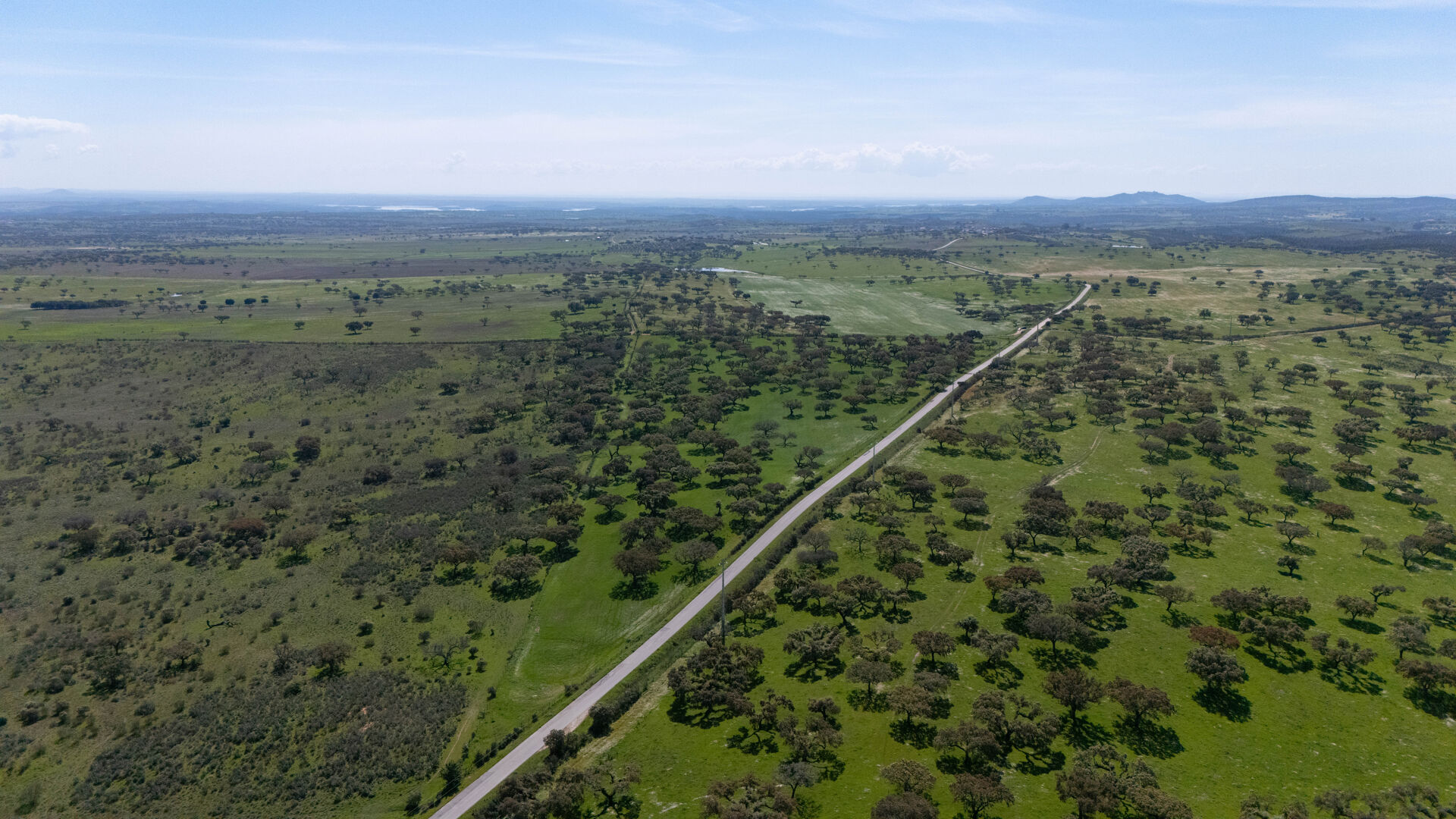 Herdade da Chamurreira de Baixo – Ativo Rural Estratégico com 63 Hectares no Alentejo