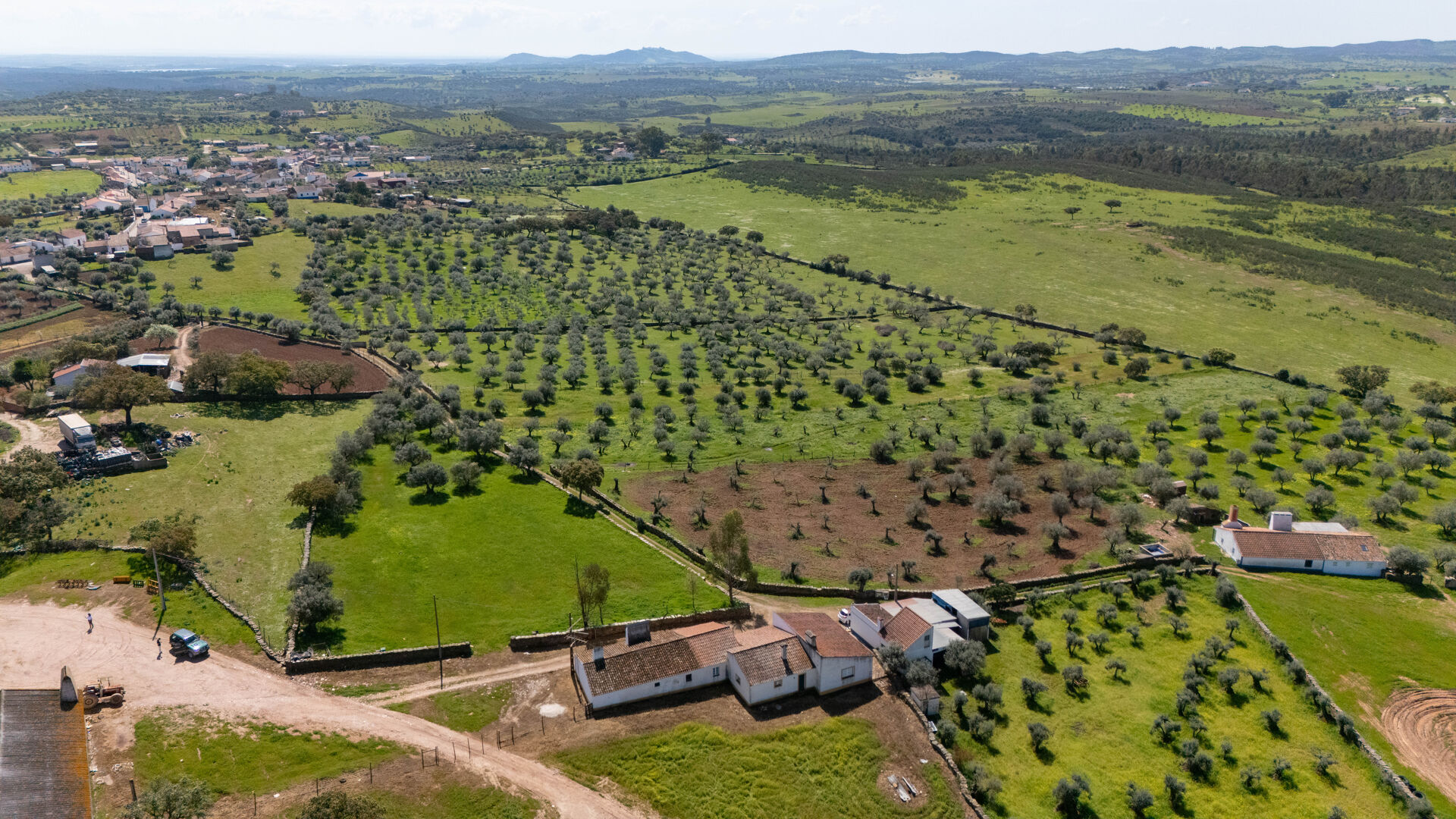 Monte da Chamurreira – Casa Tradicional com História a 10 Minutos do Alqueva