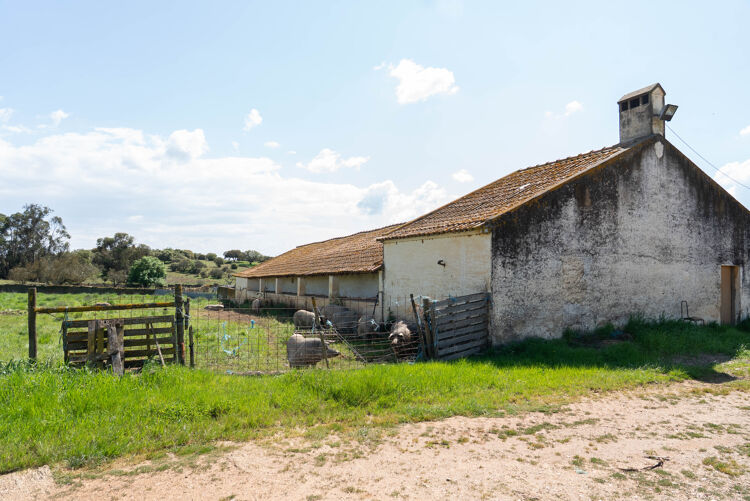 PROPRIEDADE