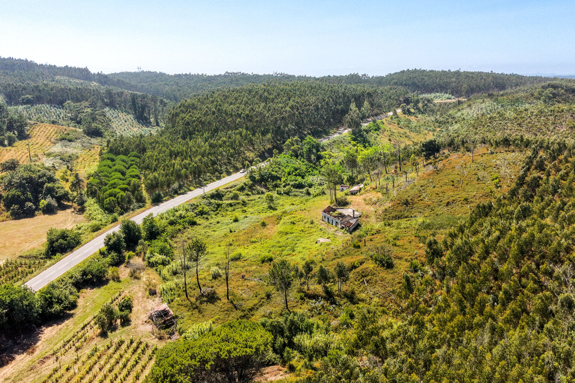 Propriedade rural com construções tradicionais para reabilitar | Cadaval