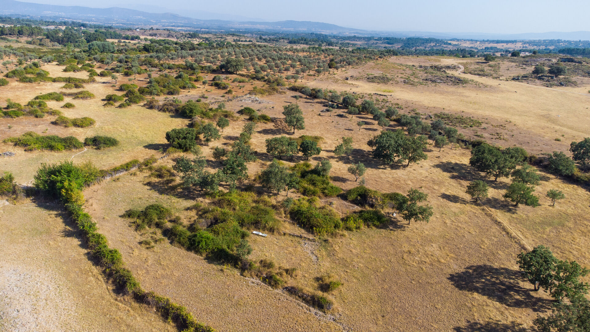 Terreno Rústico em São Miguel de Acha – Idanha-a-Nova