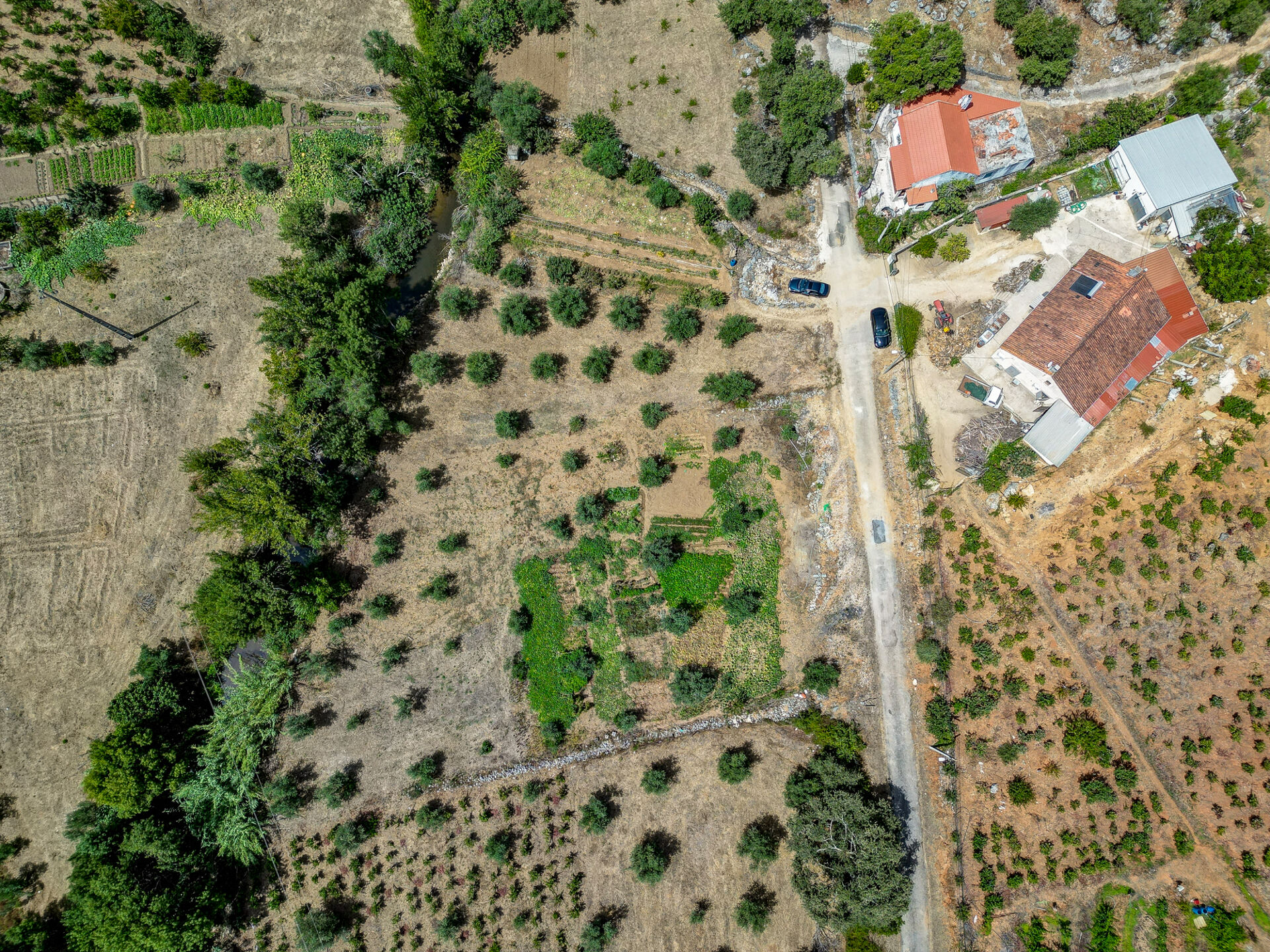 Propriedade Rural  de 36800m2 com habitação e produção de vinho e azeite