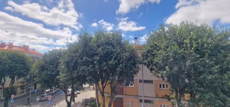 PROPRIEDADE