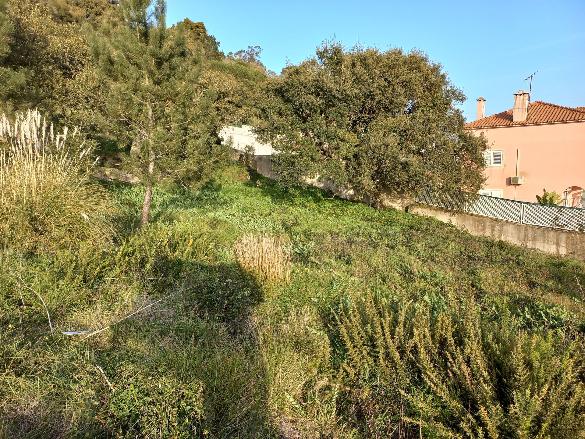 Terreno Urbano para Construção
